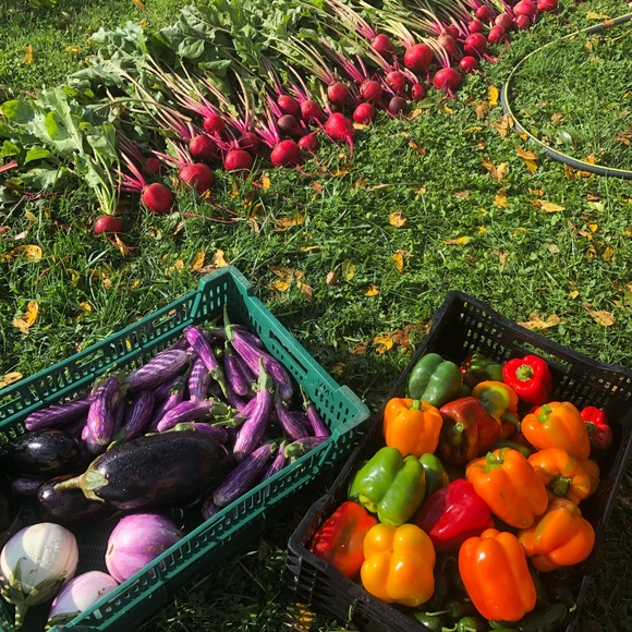 Meet your Posher, Romina - Picture 1 of 1